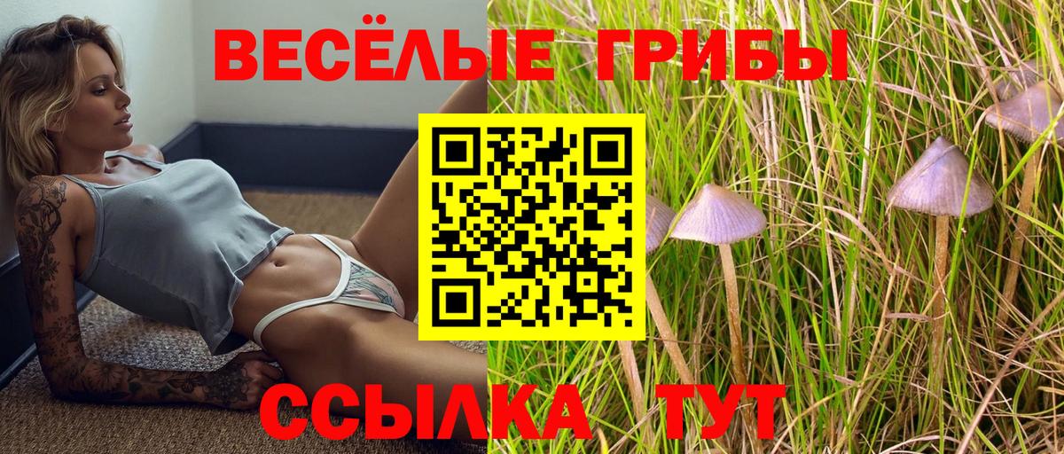 где найти наркотики  Вход с VPN  Хасавюрт  Псилоцибиновые грибы MAGIC MUSHROOMS 