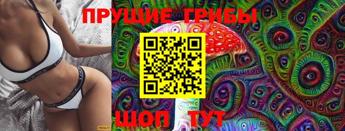 Галлюциногенные грибы Cubensis Хасавюрт